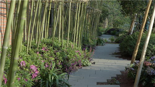 校園景觀作品集錦