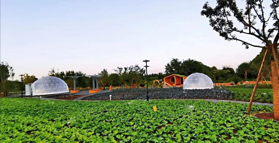 聯合國世界城市論壇開幕,園冶杯代表團攜優秀作品閃耀登場