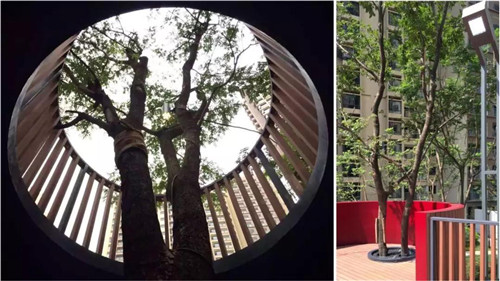 種地設計亮相聯合國世界城市論壇