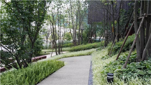 種地設計亮相聯合國世界城市論壇