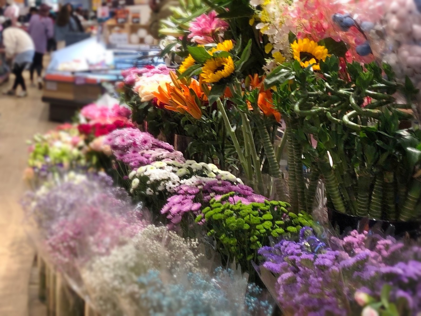 疫情重創(chuàng)鮮花市場 線上掀起救花行動(dòng)