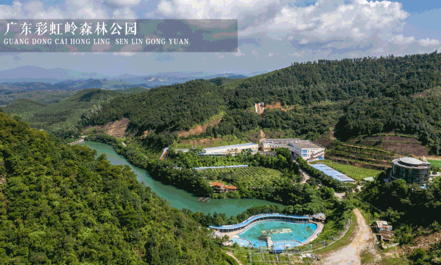 陽光已來，靜待花開 | 蘢騰線上招聘全面啟動