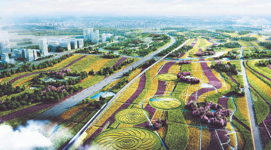 成都郫都區:書寫公園城市特質 繪就天府勝景