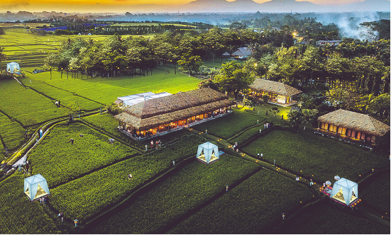 成都郫都區:書寫公園城市特質 繪就天府勝景