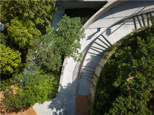 園冶杯專(zhuān)業(yè)獎(jiǎng)|熱帶度假勝地——“共享天空”