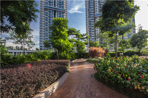 園冶杯專(zhuān)業(yè)獎(jiǎng)|熱帶度假勝地——“共享天空”