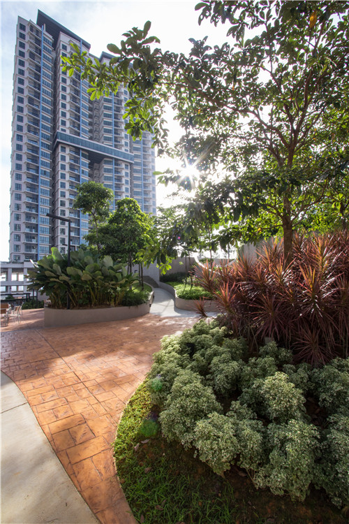 園冶杯專(zhuān)業(yè)獎(jiǎng)|熱帶度假勝地——“共享天空”