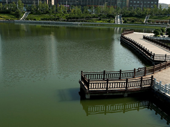 鄭州保稅區(qū)北區(qū)河劉溝生態(tài)治理工程