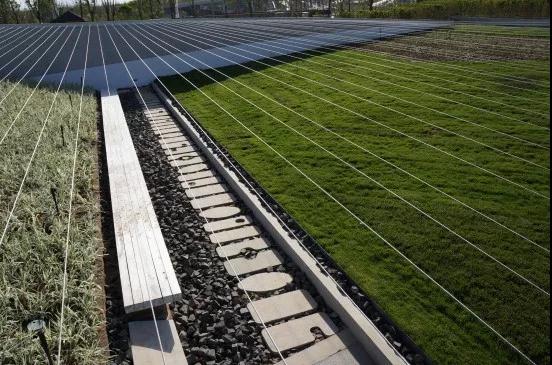 全球設計師創意薈萃的舞臺——記第九屆園博會的大師園和設計師廣場