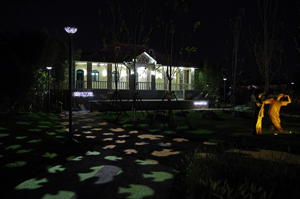 耿欣：競技場中的思考