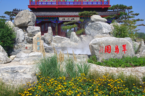 耿欣：競技場中的思考