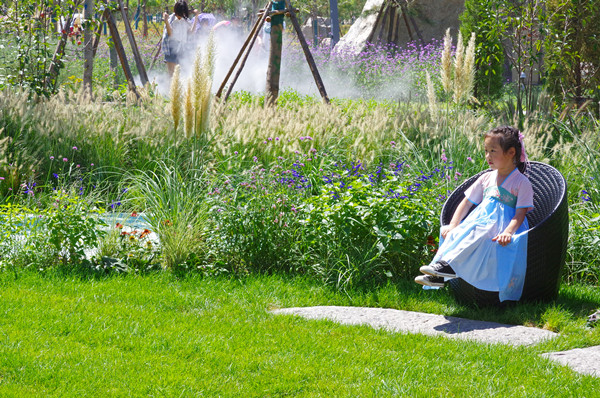 耿欣：競技場中的思考