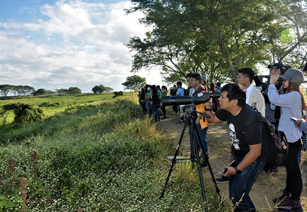 Sharon Perion：通過景觀干預進行的坎達巴沼澤保護