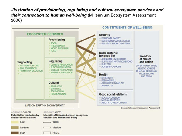 Sharon Perion：通過景觀干預進行的坎達巴沼澤保護