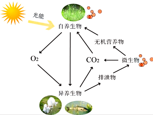 水生態系統保護、修復、利用的思考與實踐