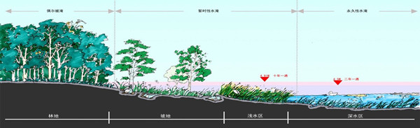 水生態系統保護、修復、利用的思考與實踐