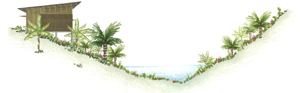 如何利用場地現(xiàn)有資源進行系統(tǒng)建造