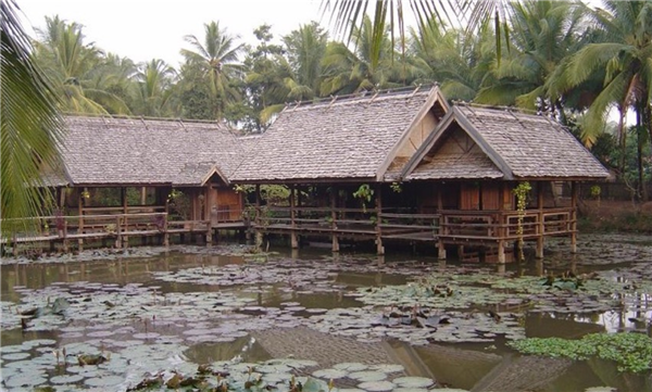 Emmanuel Pouille：濕地的生態系統以及治理對策