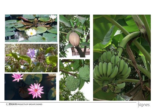 Emmanuel Pouille：濕地的生態系統以及治理對策