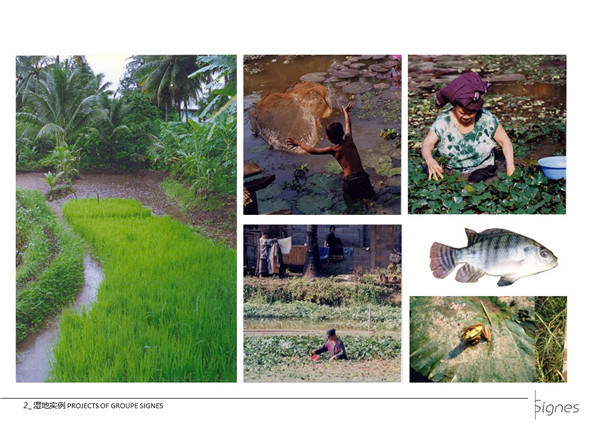 Emmanuel Pouille：濕地的生態系統以及治理對策