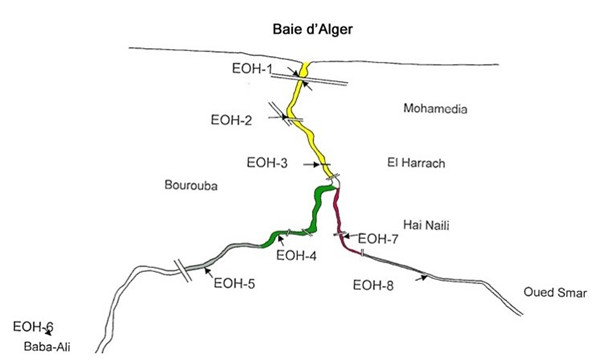 Emmanuel Pouille：濕地的生態系統以及治理對策