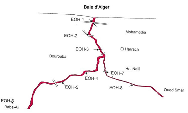 Emmanuel Pouille：濕地的生態系統以及治理對策