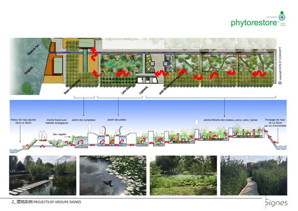 Emmanuel Pouille：濕地的生態系統以及治理對策