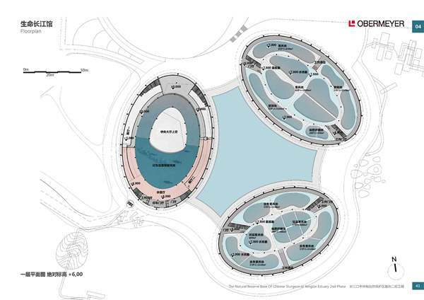 長江口中華鱘自然保護區