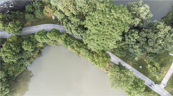 杭州西溪藝術集合村 | 一曲溪流一曲煙