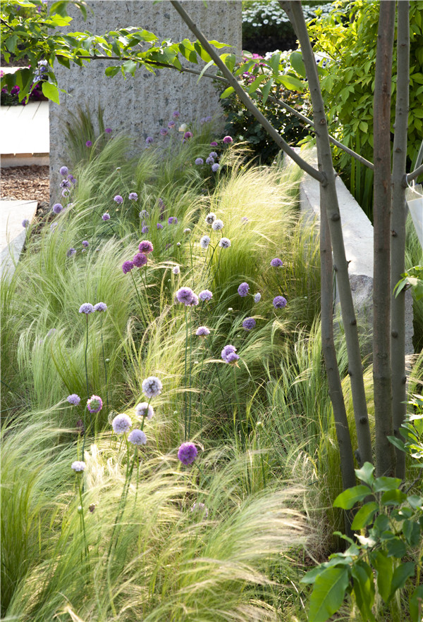 慢客景觀丨2020世界花園大會“江南水里”展園