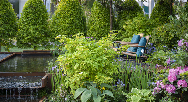慢客景觀丨2020世界花園大會“江南水里”展園