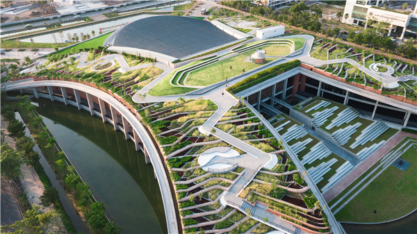 泰國國立法政大學城市屋頂農場