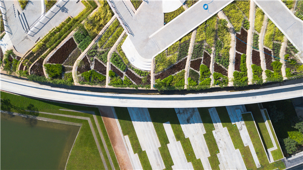 泰國國立法政大學城市屋頂農場