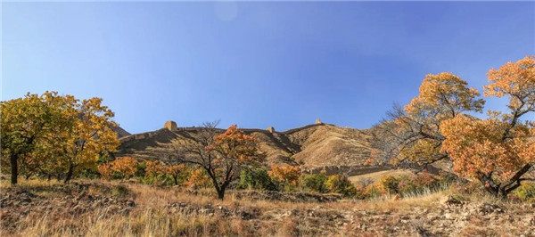 馮瀟：《一次超大尺度風(fēng)景園林實踐》