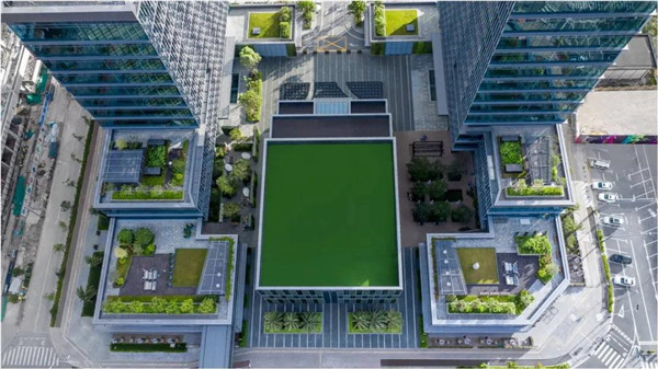 直播課：SED新西林帶你突破景觀邊界