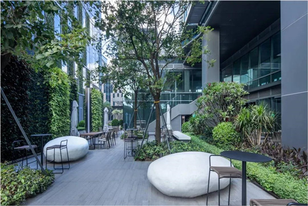 直播課：SED新西林帶你突破景觀邊界