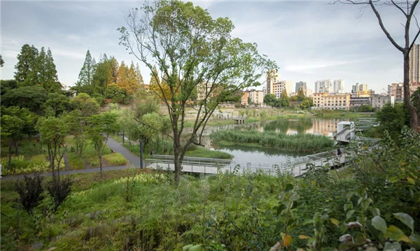 化腐朽為生機(jī) | 一段老城區(qū)護(hù)城河遺跡的景觀與海綿化改造