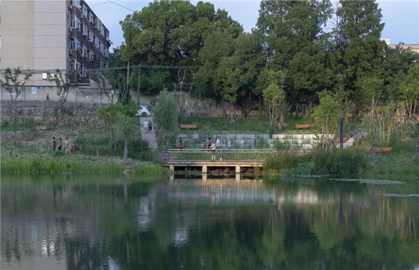 化腐朽為生機(jī) | 一段老城區(qū)護(hù)城河遺跡的景觀與海綿化改造