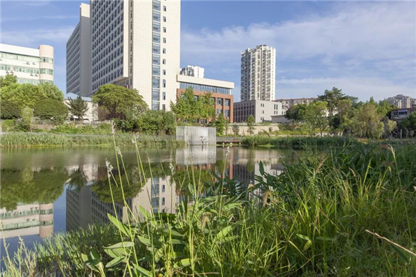 化腐朽為生機(jī) | 一段老城區(qū)護(hù)城河遺跡的景觀與海綿化改造