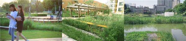 阿普貝斯丨遷安海綿城市建設成果