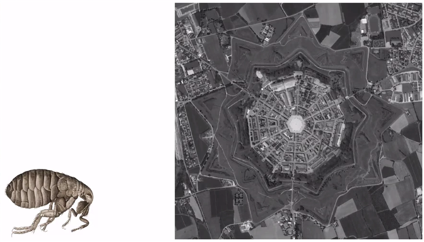 清華大學張利:主動式健康”和可持續(xù)發(fā)展的理念