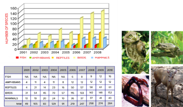 Douglas C. Smith:度假勝地的可持續(xù)設計