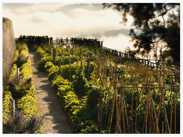 Douglas C. Smith:度假勝地的可持續(xù)設計