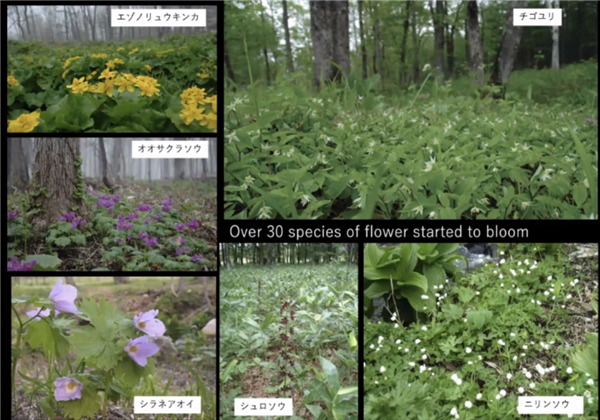 高野文彰：鄉村生活中“景觀之夢”的可能性