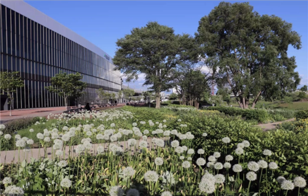 高野文彰：鄉村生活中“景觀之夢”的可能性