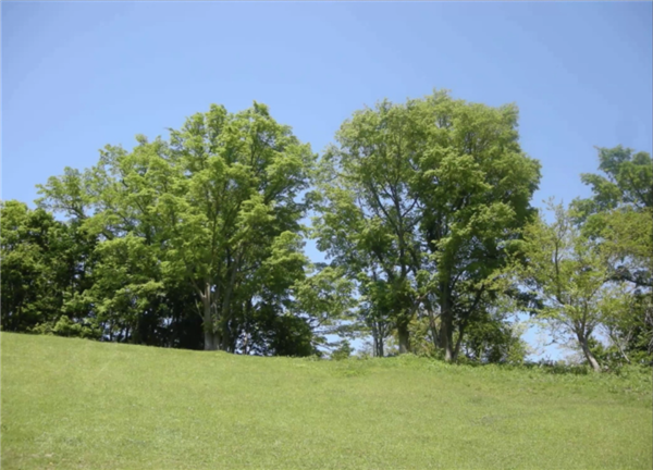 高野文彰：鄉村生活中“景觀之夢”的可能性