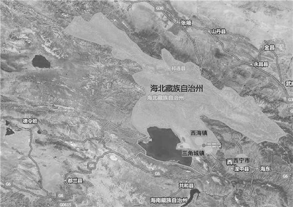 劉玉龍:醫療設施——綠色生態城市的急救站