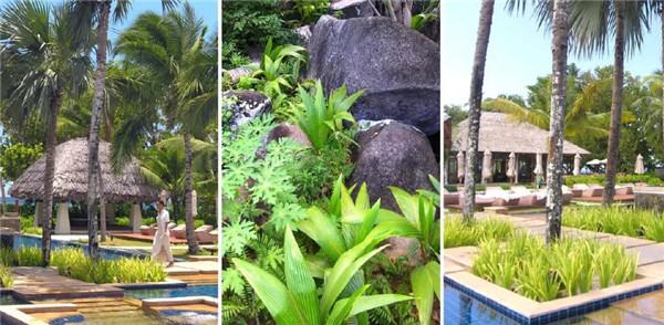 蔣存華：與地域性文化相融合的休閑度假景觀