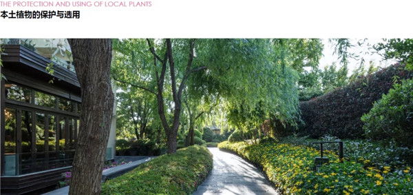 蔣存華：與地域性文化相融合的休閑度假景觀