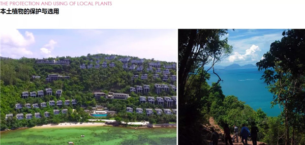 蔣存華：與地域性文化相融合的休閑度假景觀